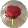 KR Strikeforce Clear Red Rose Ball