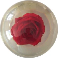 KR Strikeforce Clear Red Rose Ball 5 KR Strikeforce Clear Red Rose Ball -Outlet Bowling Gear Store cd5d37b4 48ea 453c 8e46 5a18d37685f1